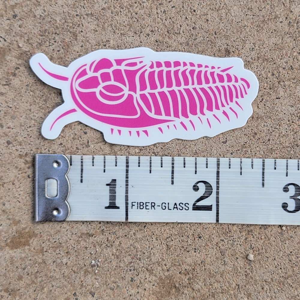Trilobite Sticker | Neon Pink Fossil Sticker | Small - Picture 5 of 6